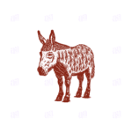 Hand Drawn Donkey Illustration