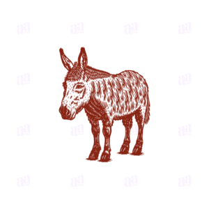 Hand Drawn Donkey Illustration