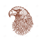 Nature Decorative  Eagle Illustration