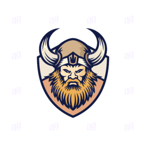 Viking Illustration