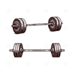 Hand Drawn Barbell Illustration